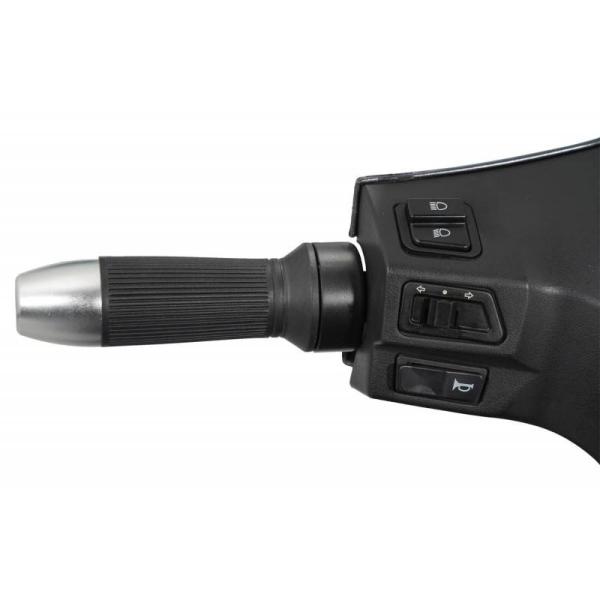 Elektromobil VITA CARE 4000 Li, Lithium, Dach, 25 kmh